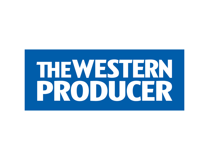 WP Logo